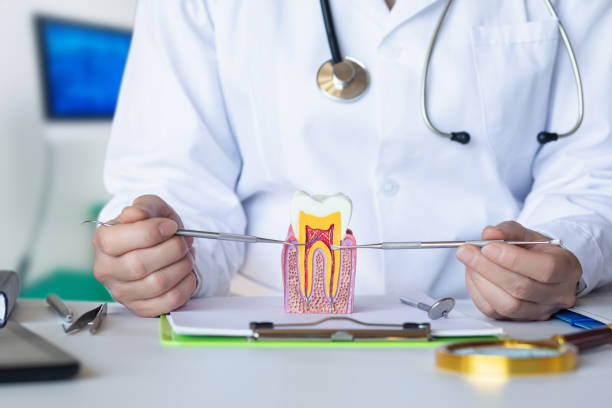 Best Dentist for Tooth Abscess  in Mayflower Village, CA
